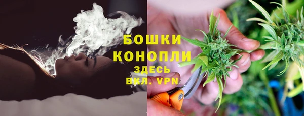 шишки Бугульма