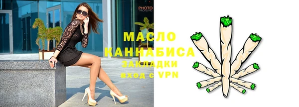 ешки Бородино