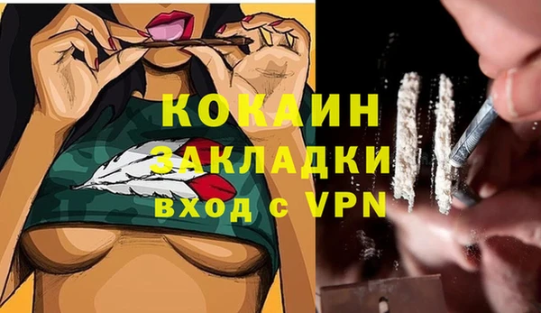 ешки Бородино