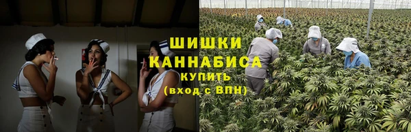 ешки Бородино