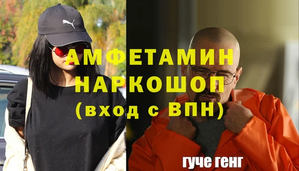 ешки Бородино