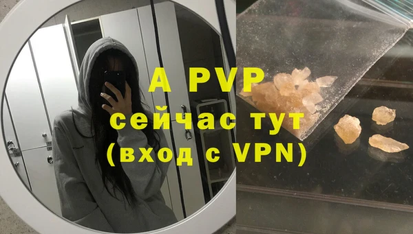 ешки Бородино