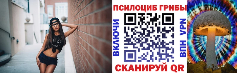 Галлюциногенные грибы мицелий  купить наркотик  Миньяр 